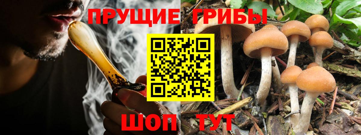Галлюциногенные грибы мухоморы  Вход с VPN  Майкоп  Галлюциногенные грибы ЛСД 